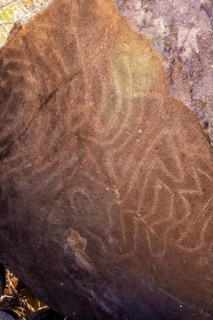 Stones with drawings of ancestors on the Las Tricias trail in the town of Garafia in the north of the island of La Palma