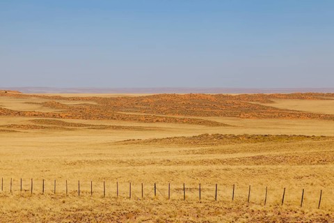 Landscape on the main road C14