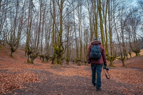 A young man walking through the Otzarreta Forest in the Gorbea natural park