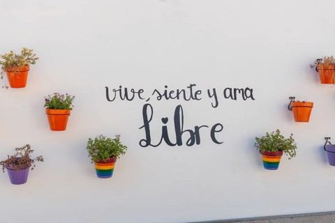 Live and love free painting with lgbt colors. Mijas
