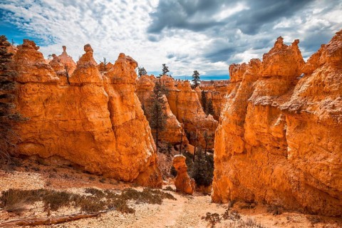 Giant eroded stones on the Queens Garden Trail in Bryce National Park