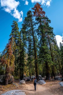 A young man walking towards Taft point in Yosemite National Park. United States