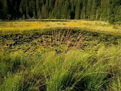 Huzenbacher See
