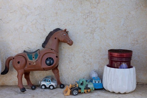 Toy