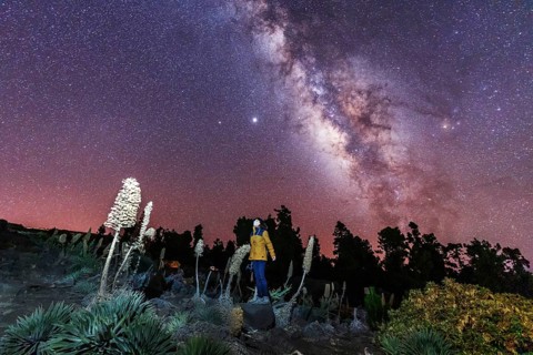 One of the best Milky Ways in the world in the Caldera de Taburiente near Roque de los Muchahos on the island of La Palma