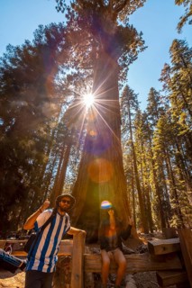 A couple in the giant General Sherman Tree tree in Sequoia National Park