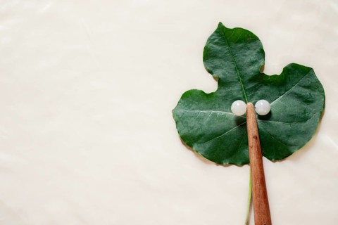 Mockup of a facial roller on a Jatropha podagrica leaf