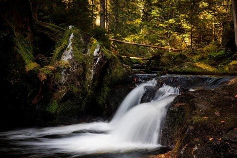 Waterfall in autumn forest with rocks