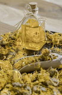 Dried calendula flowers