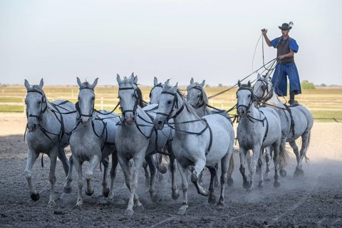 Riding demonstration