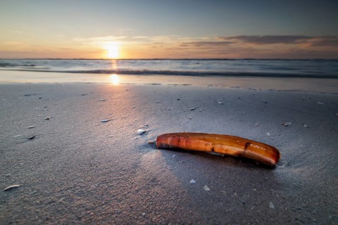 Sunset on the beach of De Panne