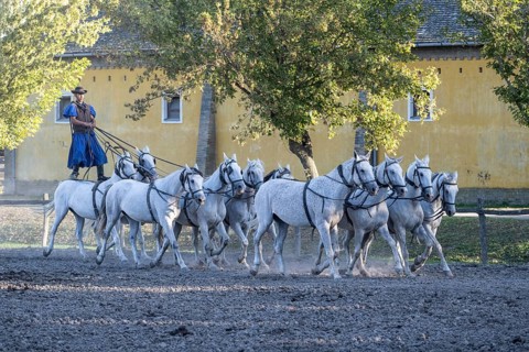 Riding demonstration