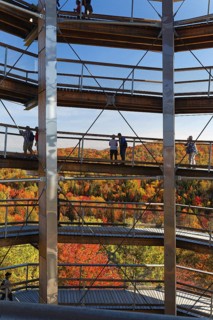 Tree top pad