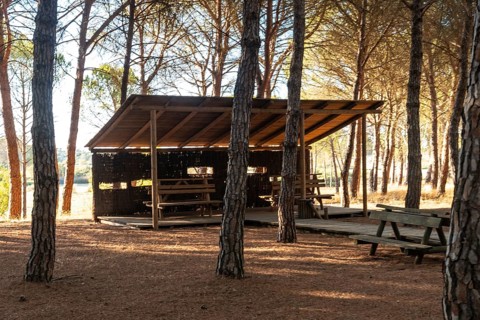 Bird observation post in the Donana Natural Park