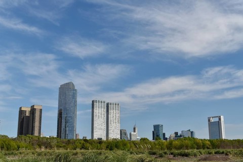 Skyline of Puerto Madero seen from Costanera Sur Nature Reserve
