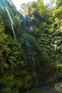 A small waterfall in summer at the Levada do Caldeirao Verde