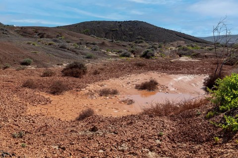 Dryness