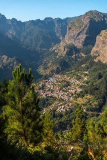 Vegetation from the Eira do Serrado viewpoint