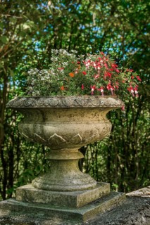 Stone bowl with fuchsias