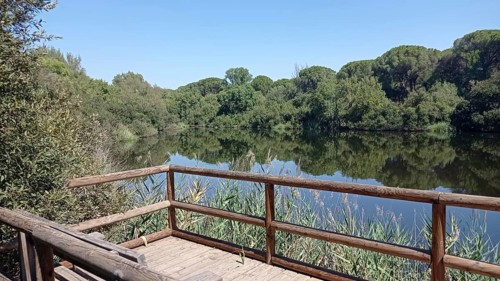 Viewpoint at the Acebron pond in the Donana natural park at sunset. Huelva