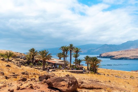 House and bar at the end of the path of Ponta de Sao Lourenco with palm trees in summer