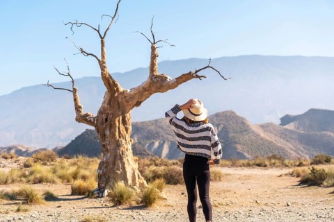 A young hiker girl with a hat visiting the tree of misfortune in the desert of Tabernas