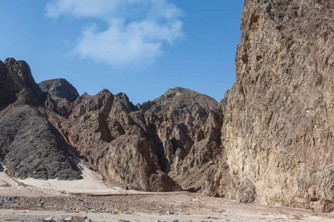 Arabian Desert