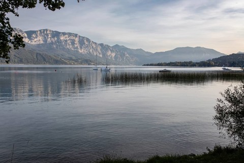 Attersee in front of Hoellengebirge