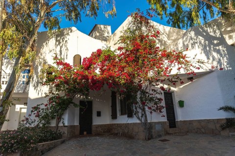 Beautiful houses with flowers in San Jose in the town of Nijar