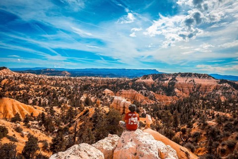 Bryce National Park