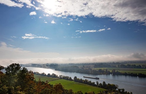 Cargo ship in the morning mist on the Danube near Regensburg