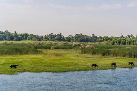 Beautiful natural scenery sailing on the Nile river cruise from Luxor to Aswer