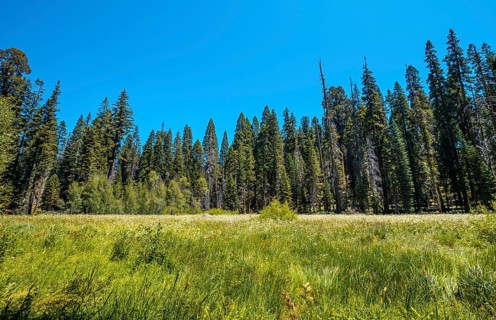 Sequoia National Park