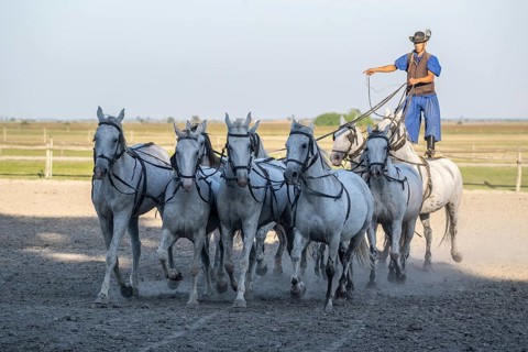Riding demonstration