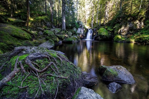 Waterfall in autumn forest with rocks