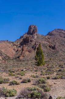 View from the Boca Tauce viewpoint in the Teide Natural Park in Tenerife