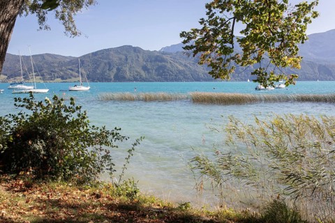 Attersee in front of Hoellengebirge