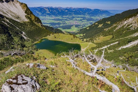 Rubihorn