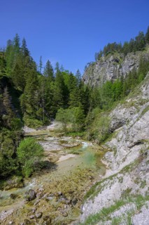 Oetscherbach in the Oetschergraben