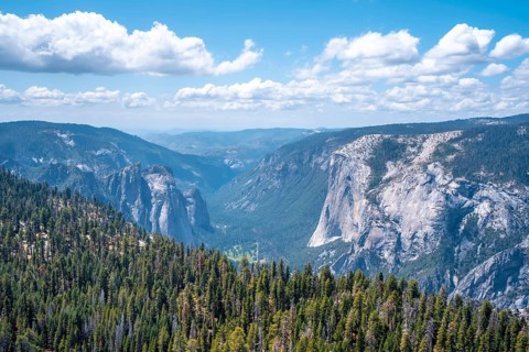 Views from Sentinel Dome