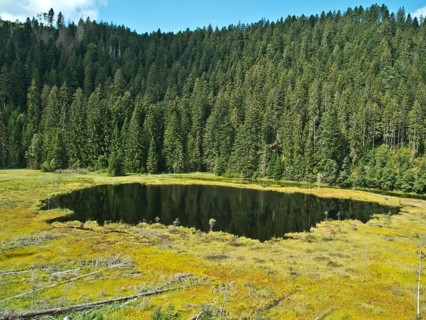 Huzenbacher See