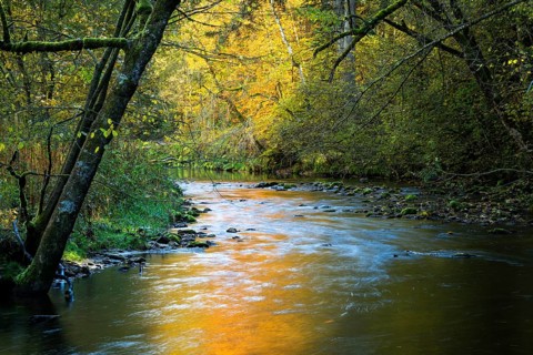 The Eistobel nature reserve