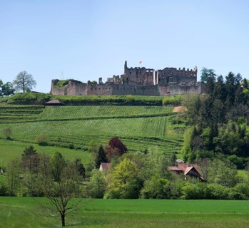 Hochburg castle ruins