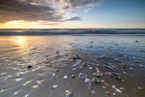 Sunset on the beach of De Panne