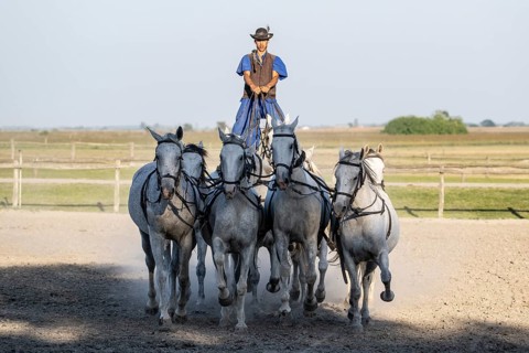 Riding demonstration
