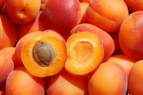 Many apricot