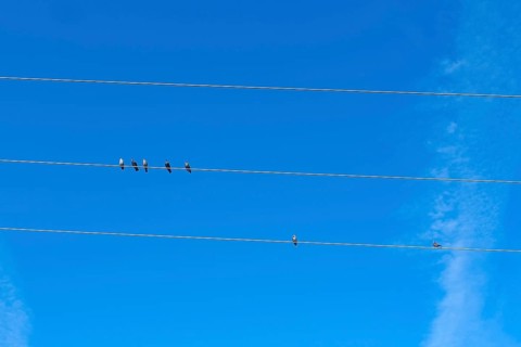 Symbolic photo for exclusion