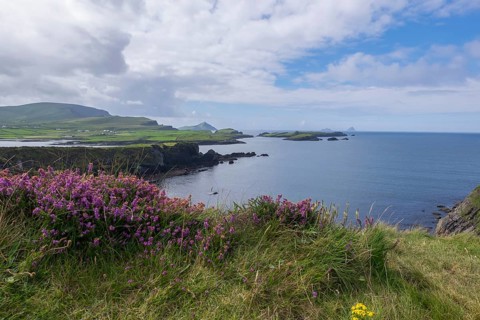 Landscape at Skellig Ring