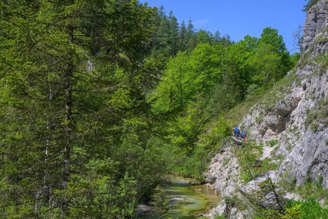 Hiking trail in the Oetschergraben