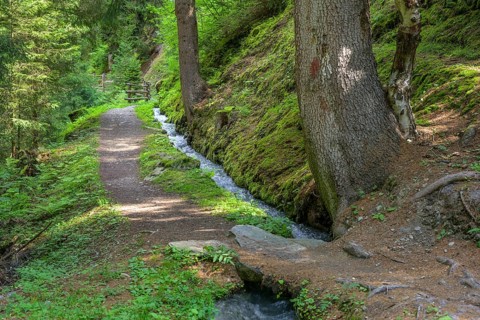 Berkwaal